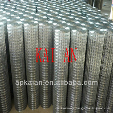 1/4 inch galvanized welded wire mesh